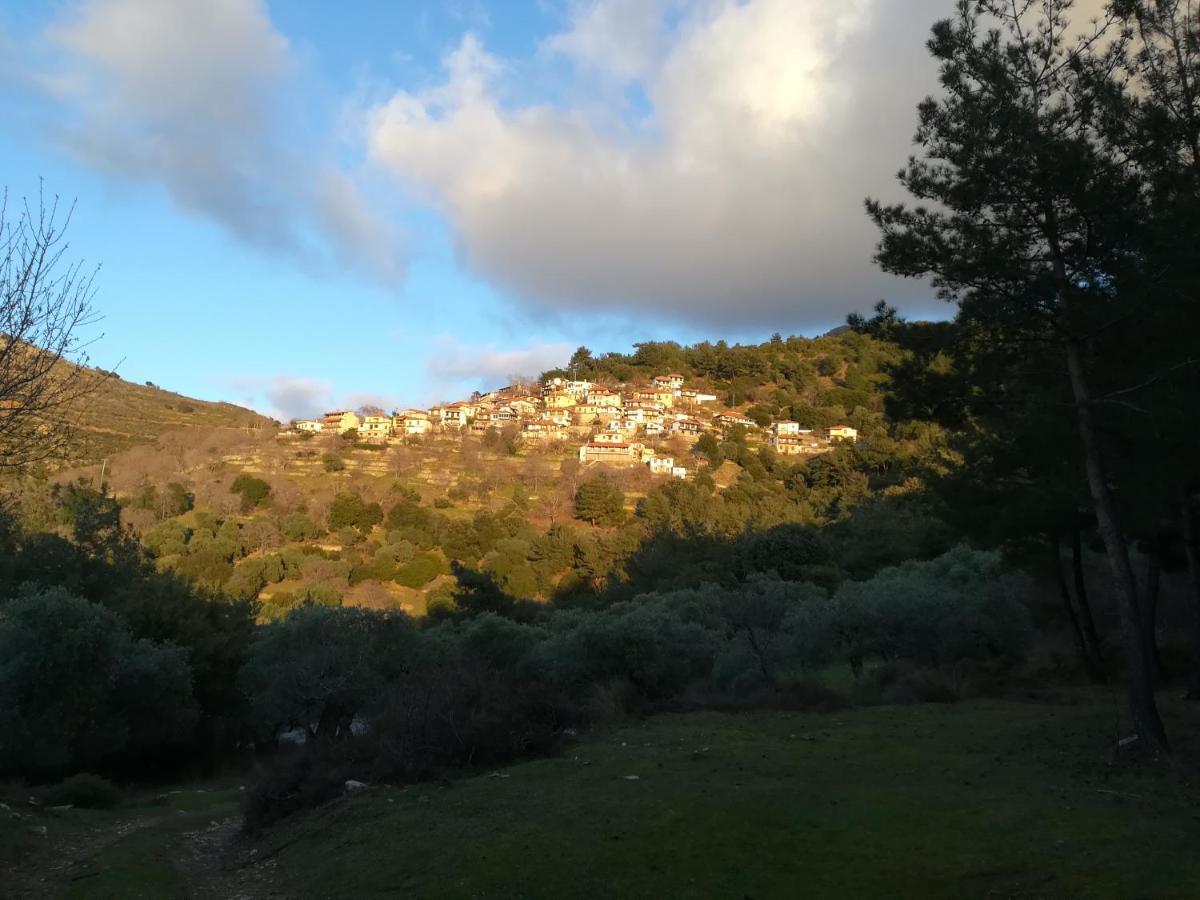 Eden View Apartment Sotir Luaran gambar