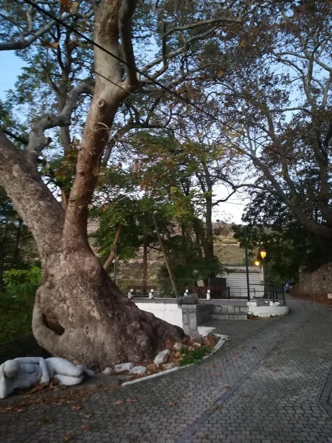 Eden View Apartment Sotir Luaran gambar